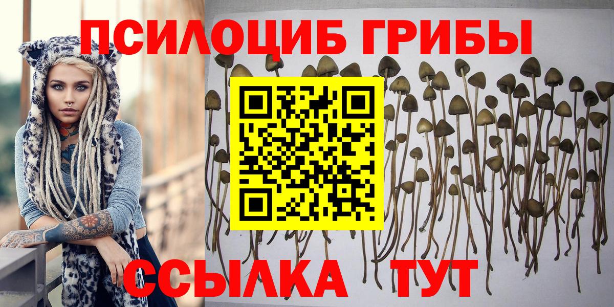 Псилоцибиновые грибы Psilocybe  Псилоцибиновые грибы Magic Shrooms  Вход с VPN  Донецк 