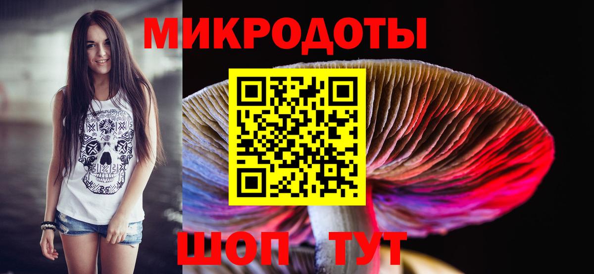 Псилоцибиновые грибы Psilocybine cubensis Донецк